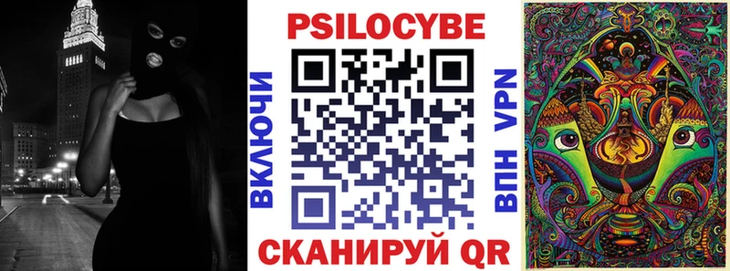 Купить где  Кувандык  Галлюциногенные грибы GOLDEN TEACHER 